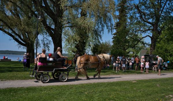 Barnens dag i Lejonparken 25.5.2024 (foto: Henry Andersson)