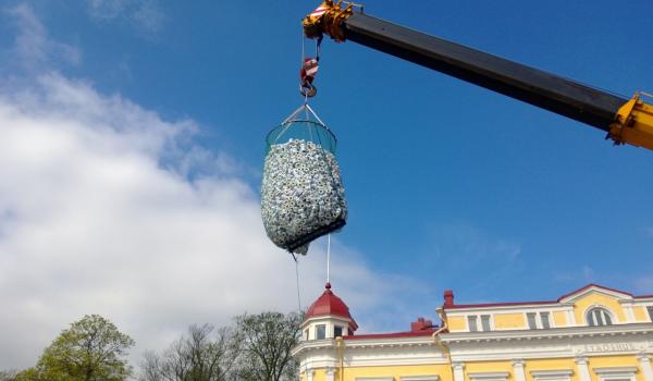 Toa-rullarna ska snart släppas ner på Rådhustorget.